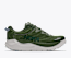 Baby Kale / Feuille d’ortie