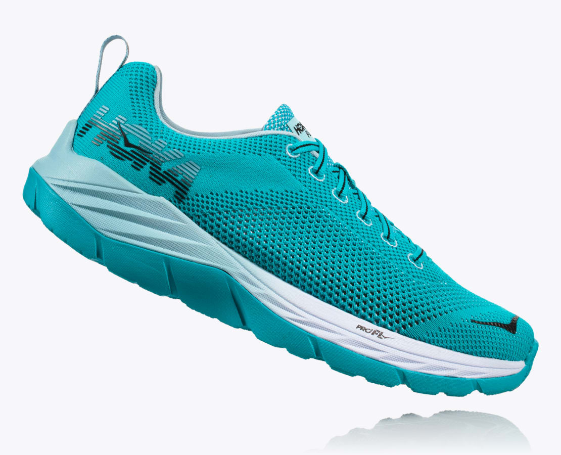 Hoka one sales one pro fl