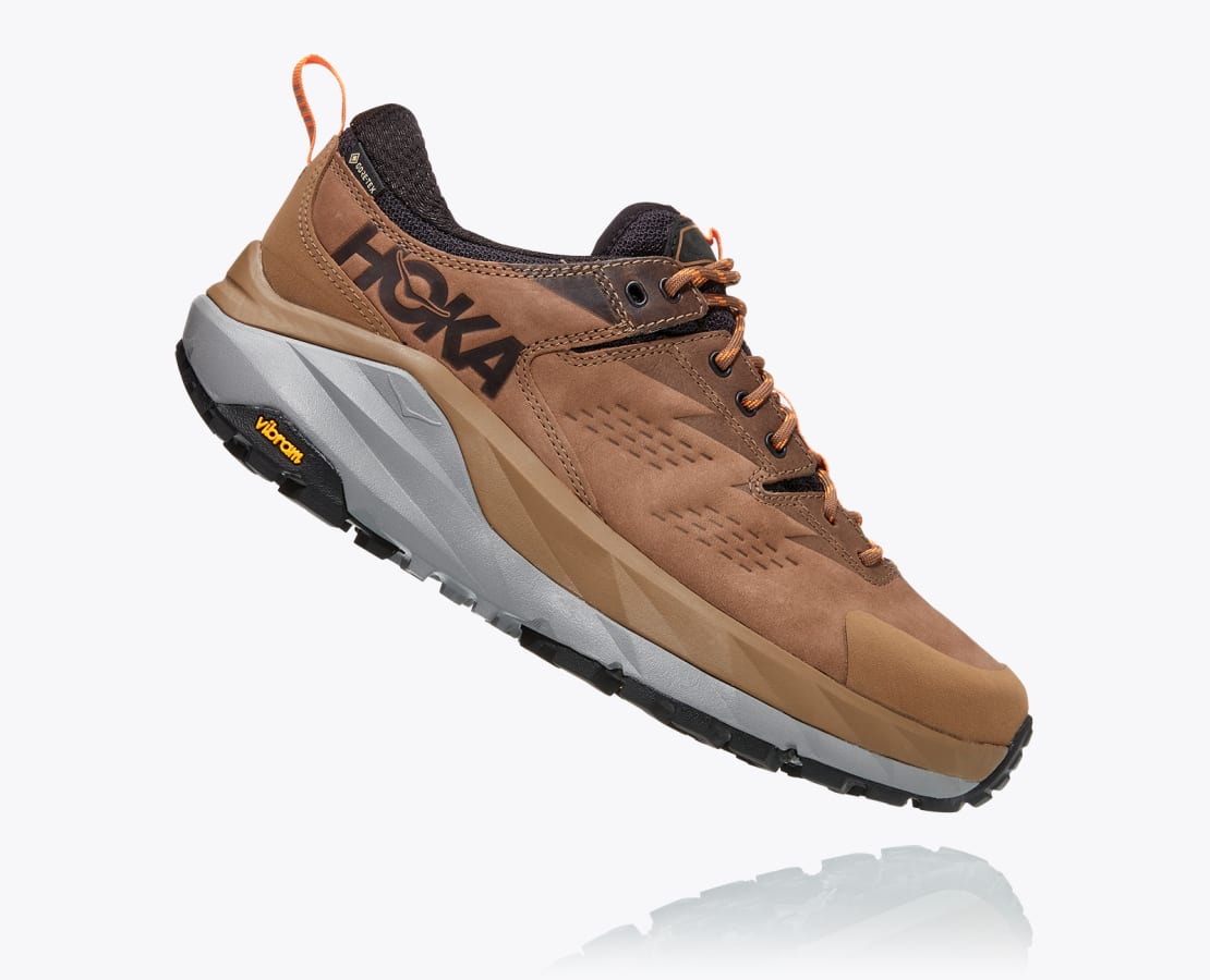 hoka sky kaha low gtx
