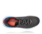Elevon 2