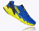 Elevon 2