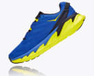 Elevon 2
