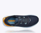 Elevon 2