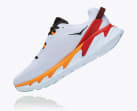 Elevon 2