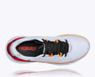Elevon 2