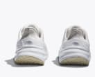 TC 1.0