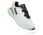 Elevon 2