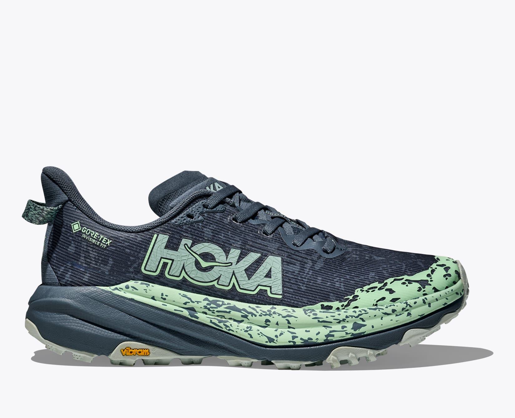 Women's Speedgoat 6 GTX