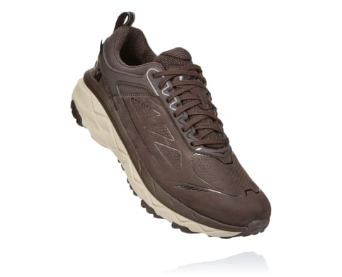 HOKA® Challenger Low GTX for Men | HOKA®
