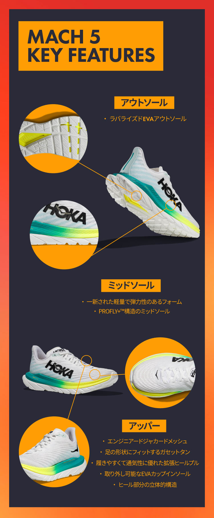 HOKA MACH 5  24.5センチ