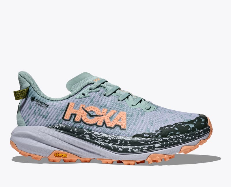 Women's Speedgoat 6 GTX