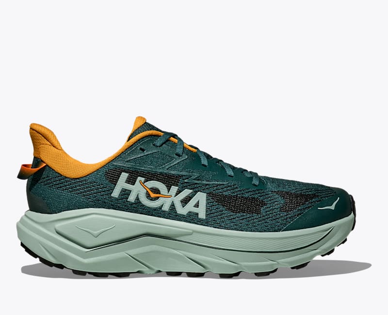HOKA Men's Challenger 8 Shoes in Bay Leaf/Sage, Size 8.5