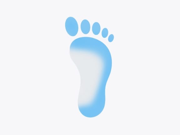 Illustration of a mid arch wet footprint