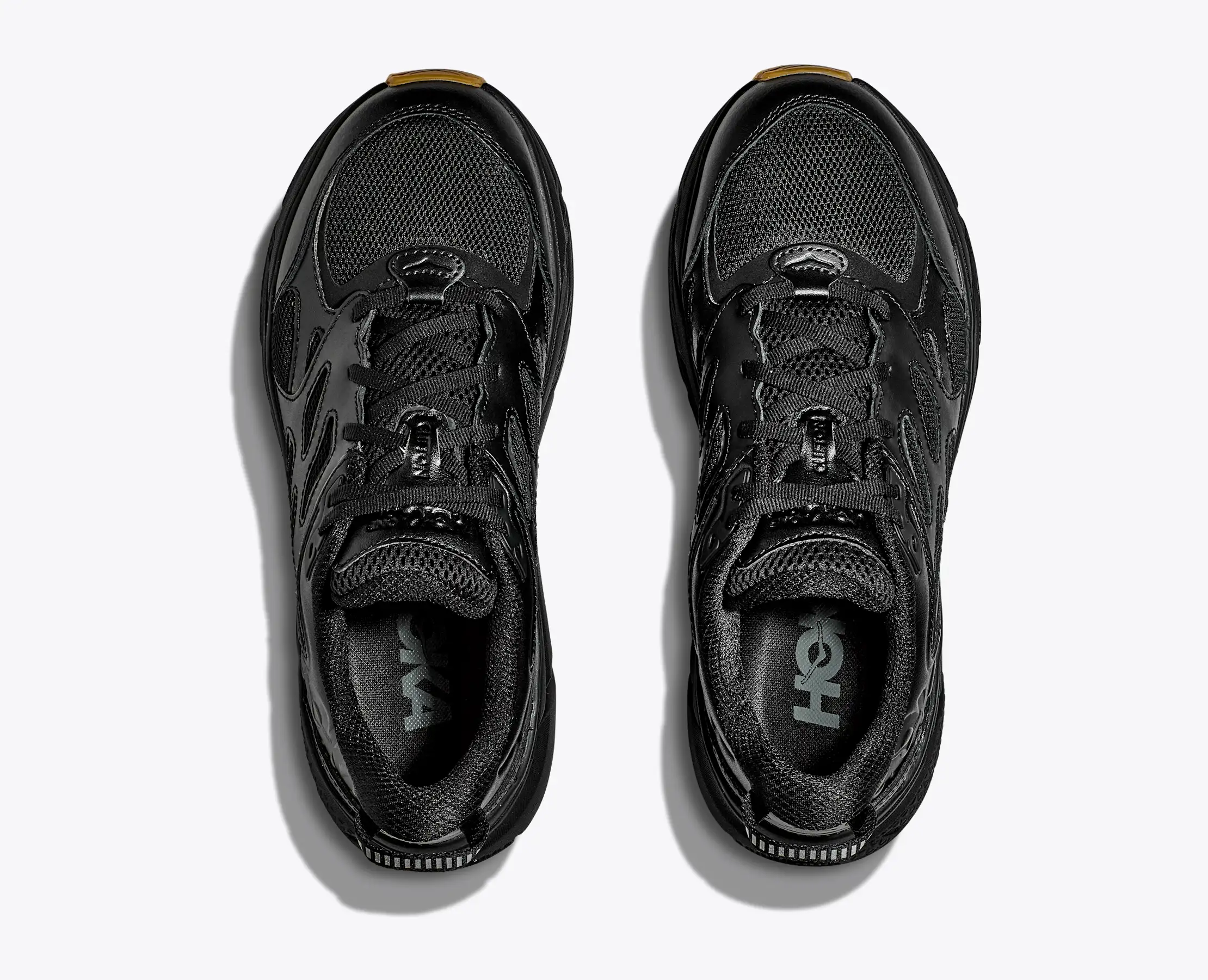 All Gender Clifton L