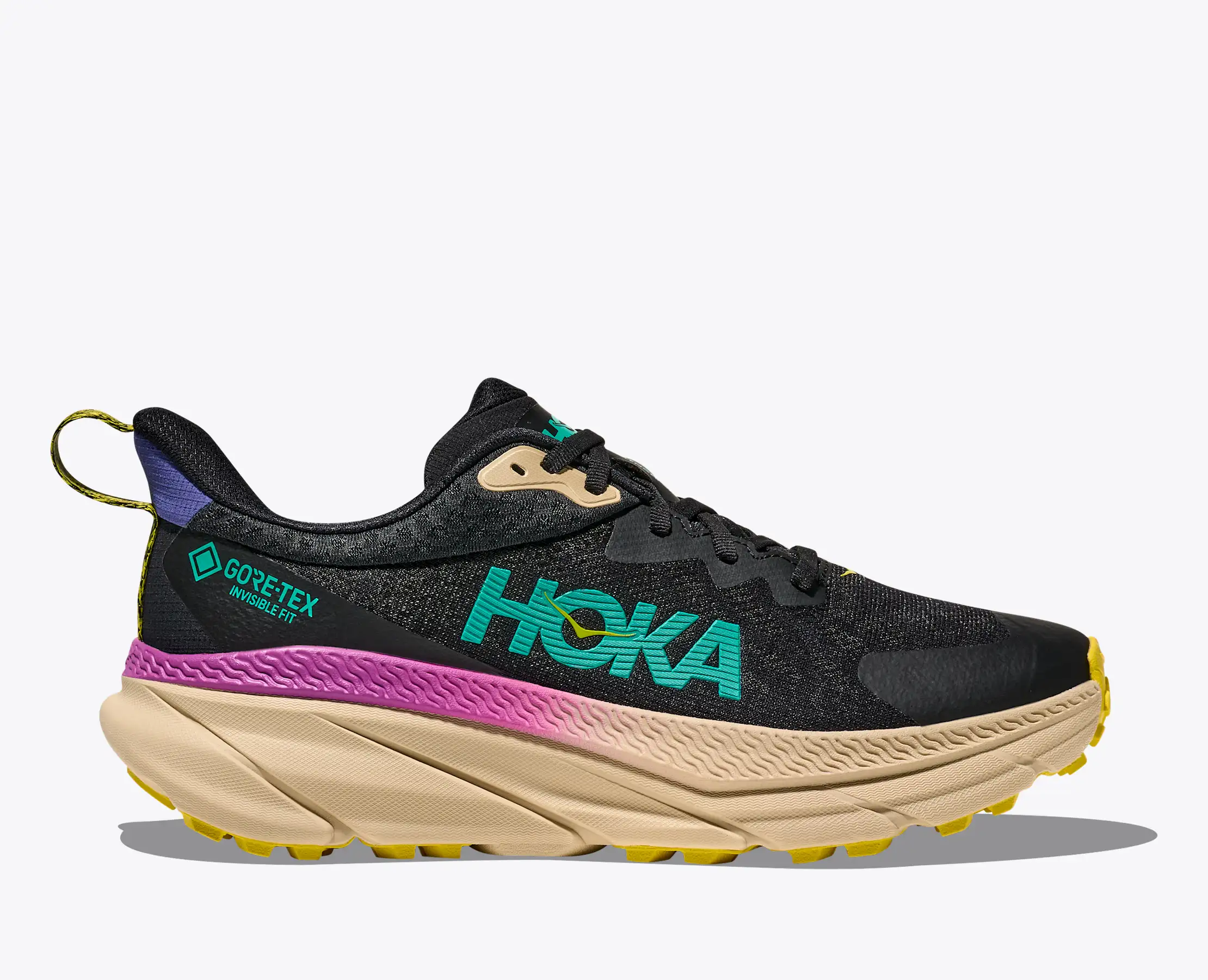 hoka gore tex challenger