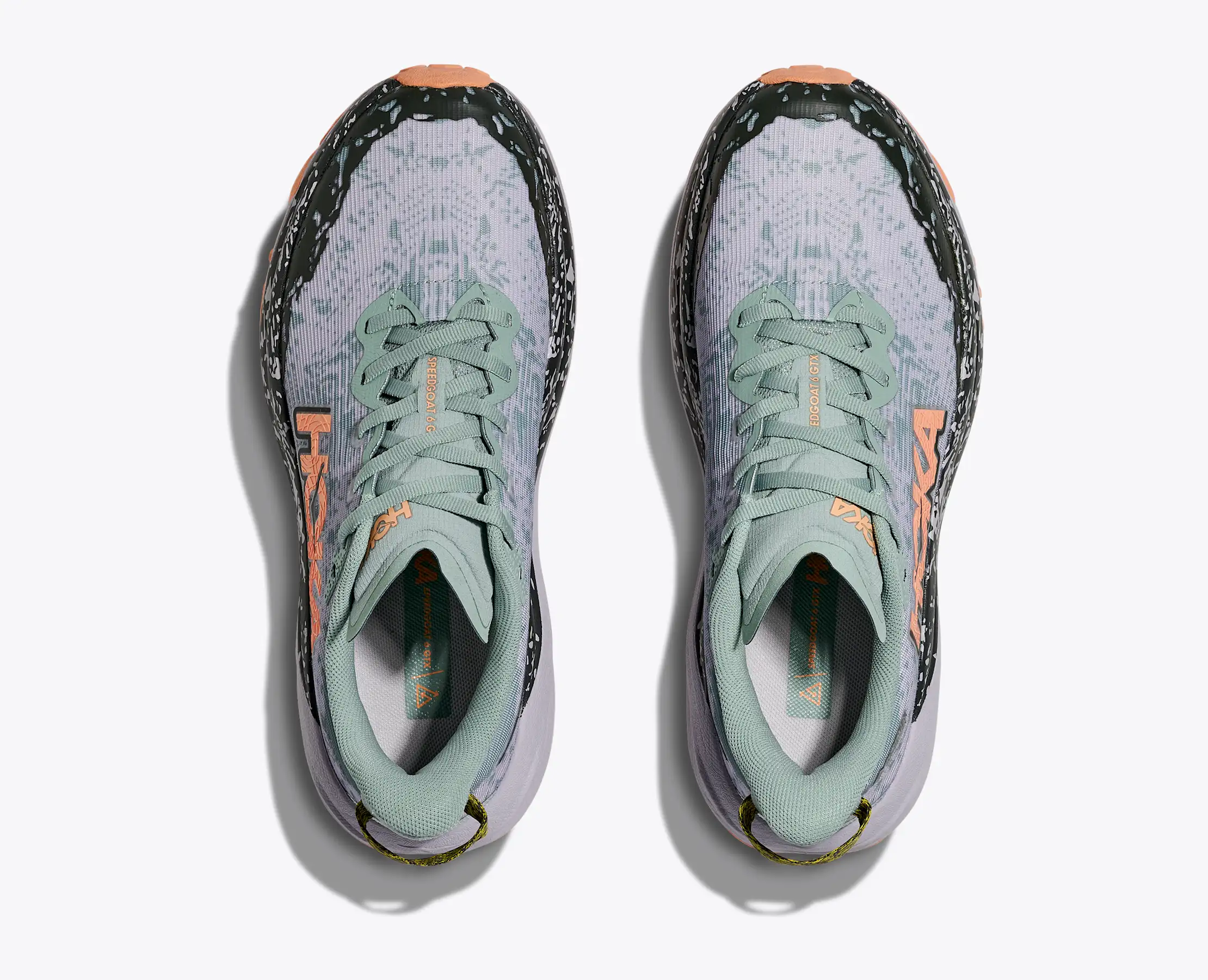 Women's Speedgoat 6 GTX