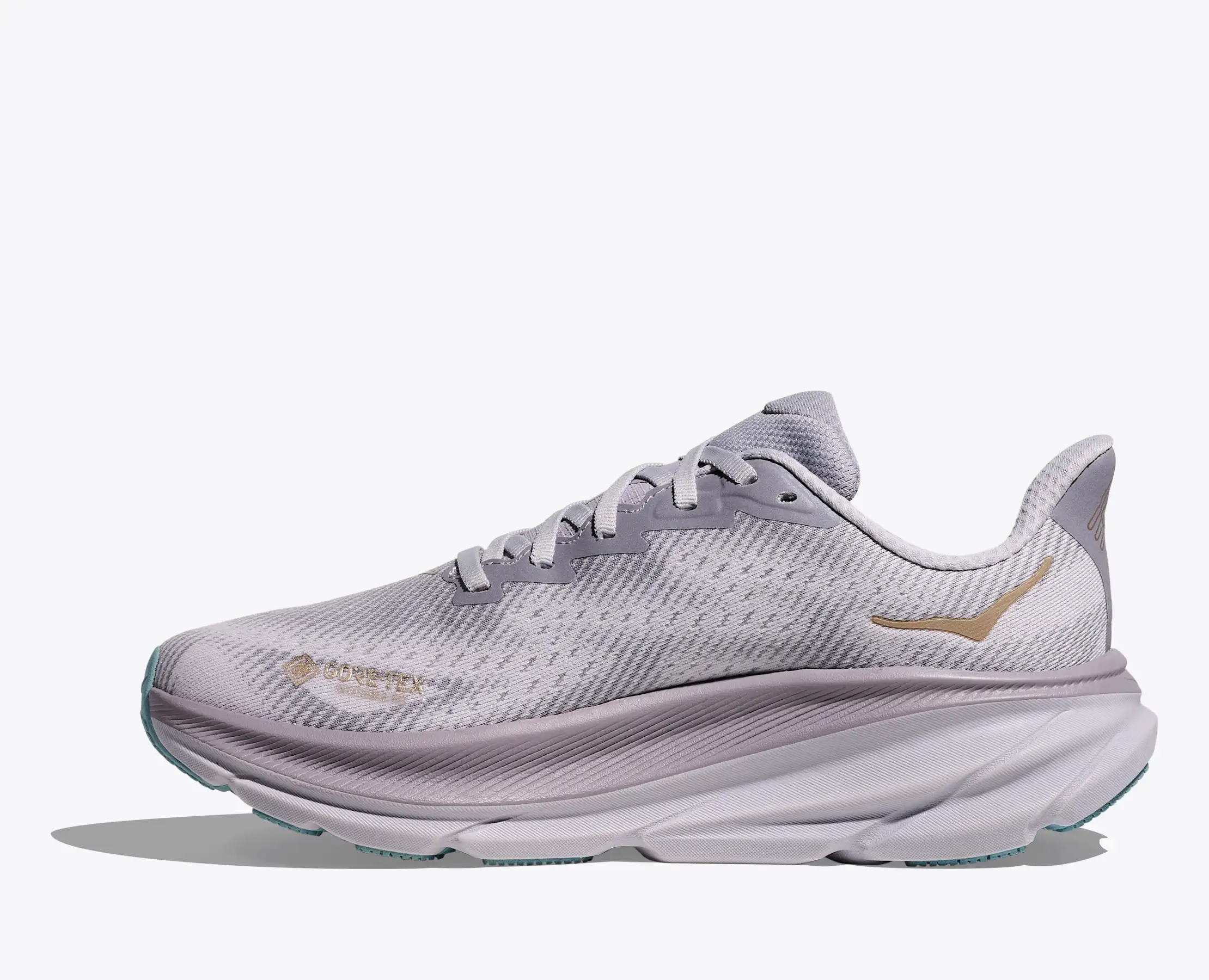 HOKA Clifton 9 GORE-TEX for Women | HOKA®