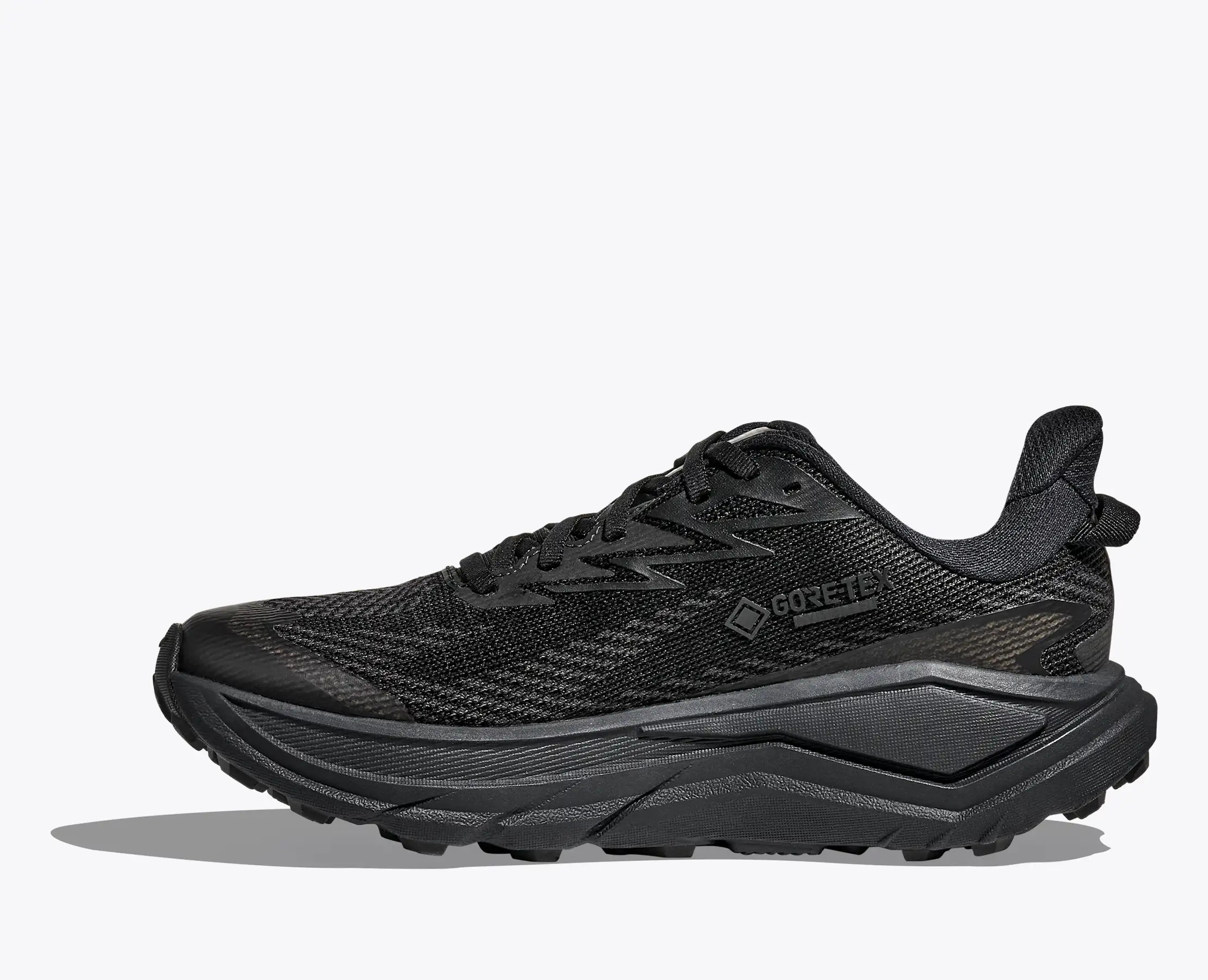 HOKA Challenger 8 GORE-TEX for Women | HOKA® FI