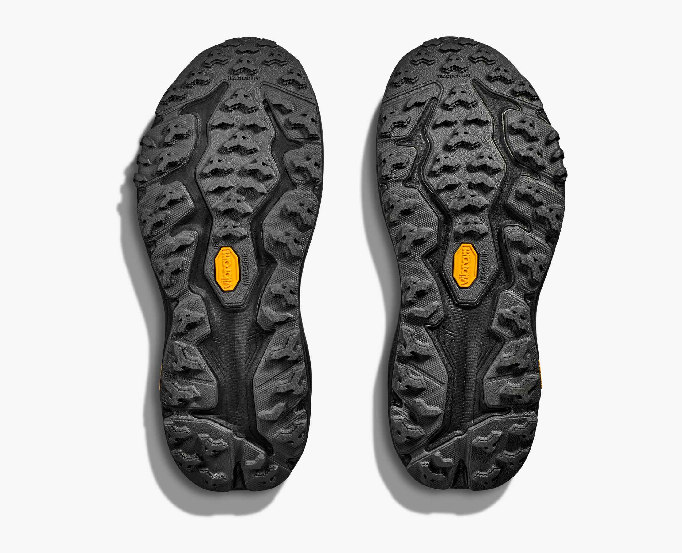 speedgoat 4 gtx womens