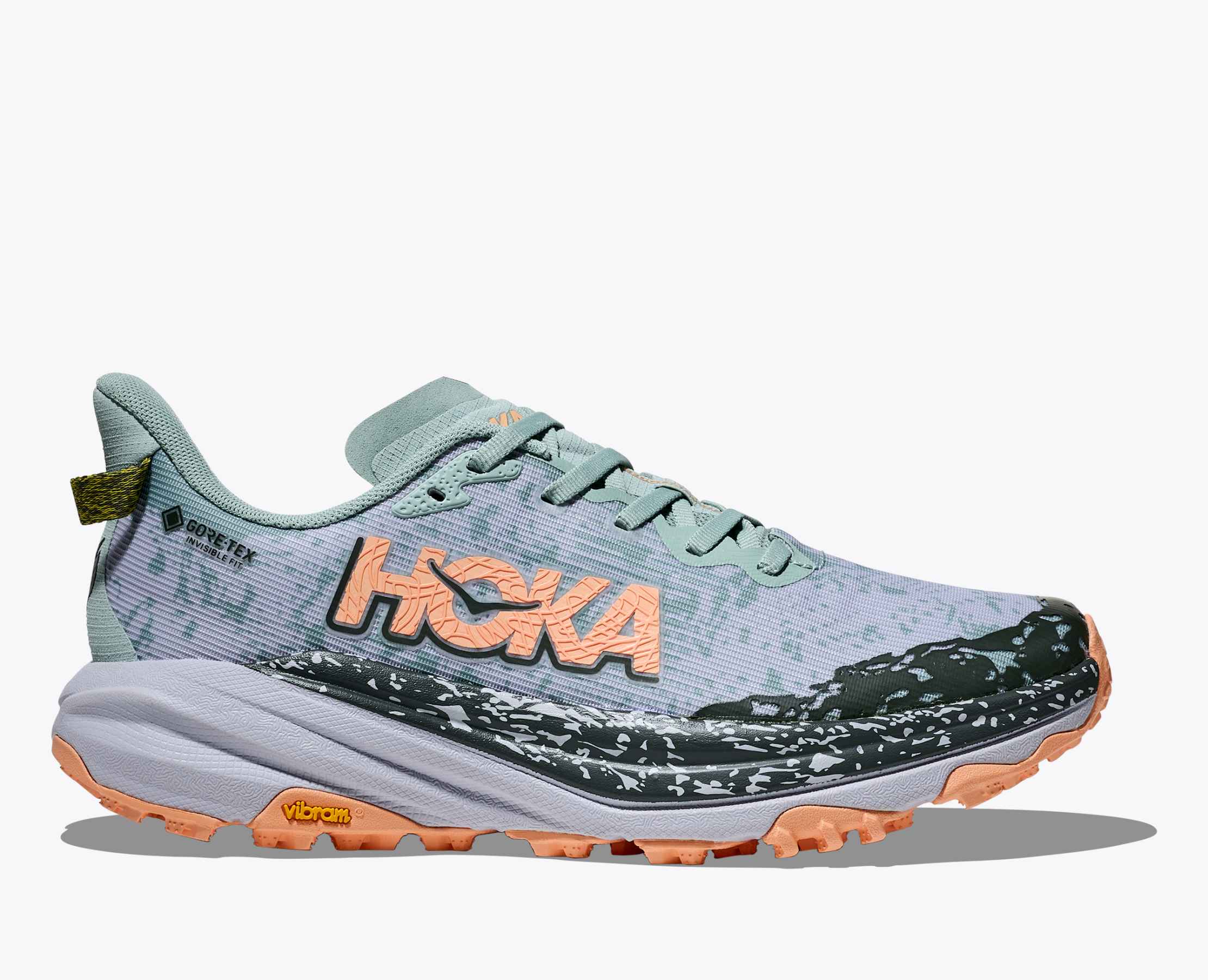 Women's Speedgoat 6 GTX
