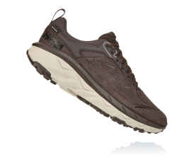 HOKA ONE ONE (ホカオネオネ) CHALLENGER LOW GTX HOKA® Challenger Low GTX for Men | HOKA®