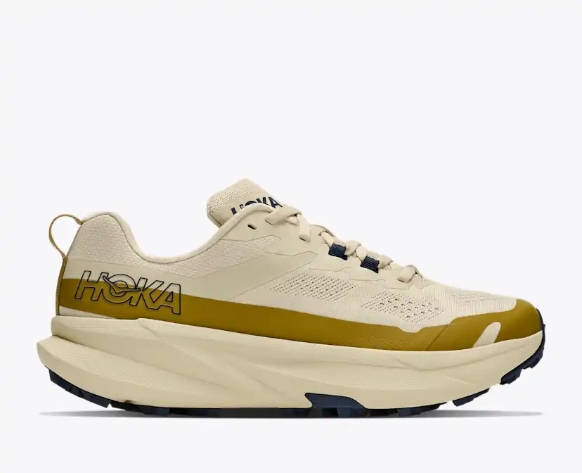 Женские кроссовки Hoka Torrent 5