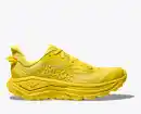 Electric Lemon / Electric Lemon