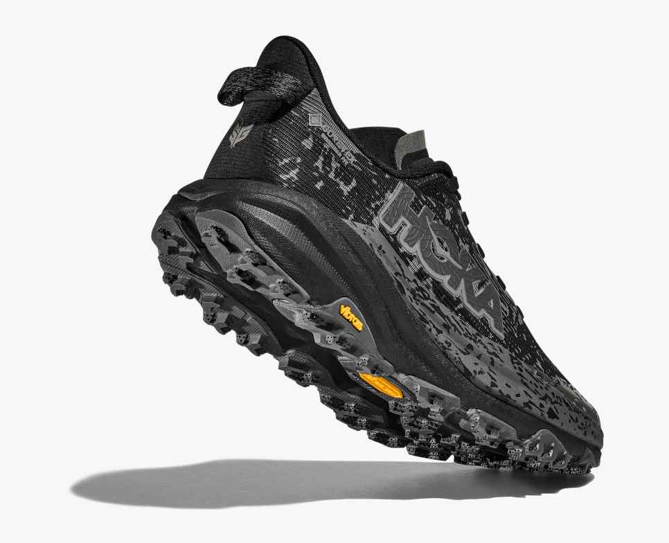 Women's Speedgoat 6 GTX