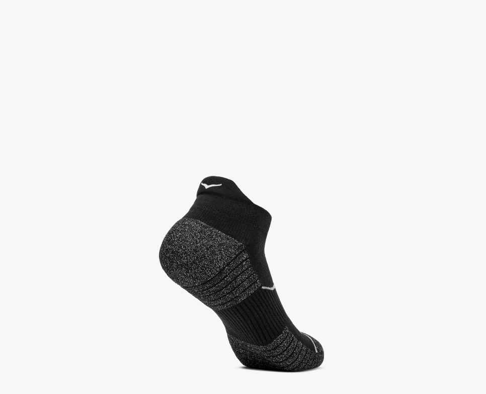 All Gender No-Show Run Sock 3-Pack