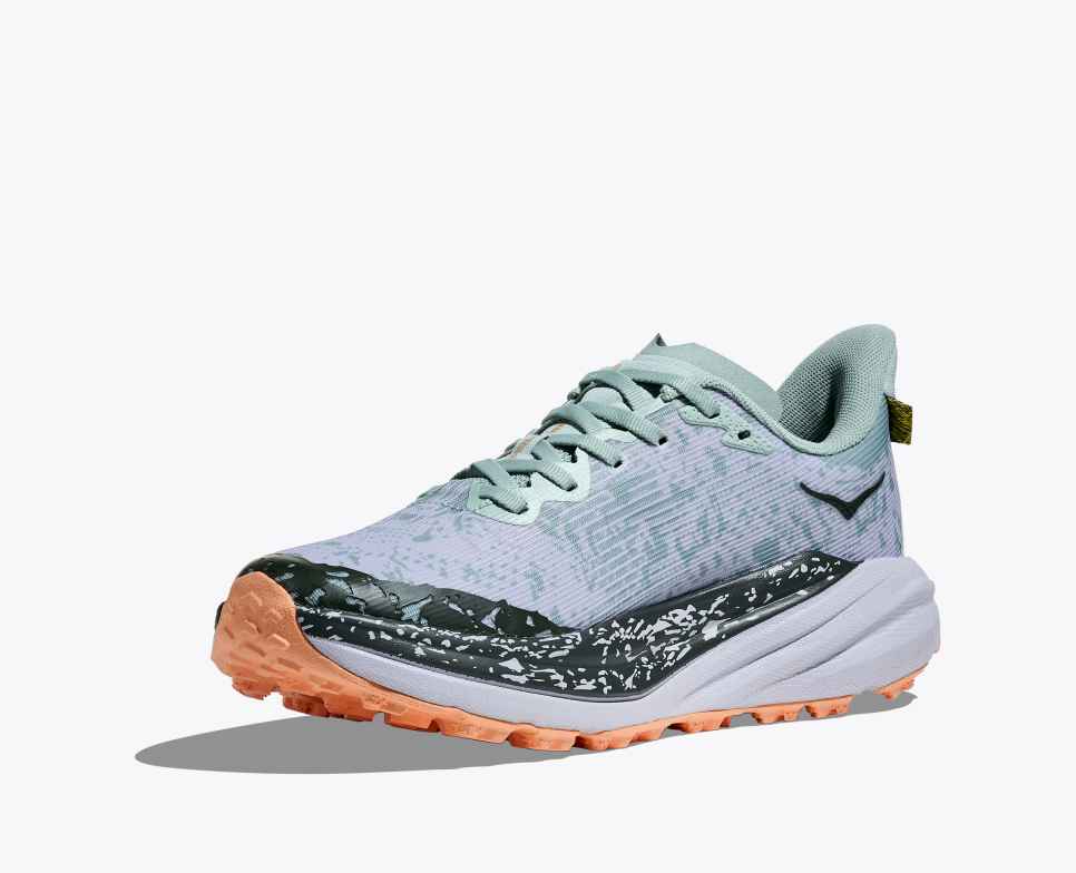 Women's Speedgoat 6 GTX