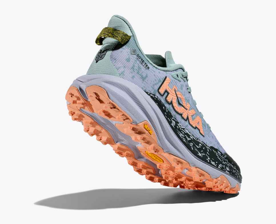 Women's Speedgoat 6 GTX