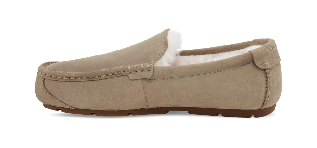 Tipton slipper deals ugg