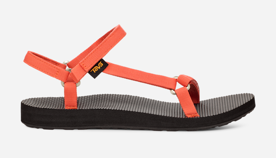 Teva student discount cheap