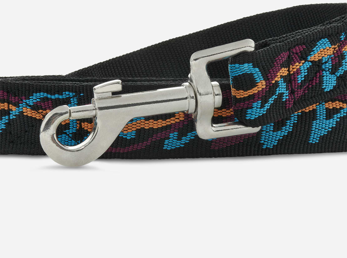 Collar Dog Personal Leash Set, Lv Dog Collar Leash