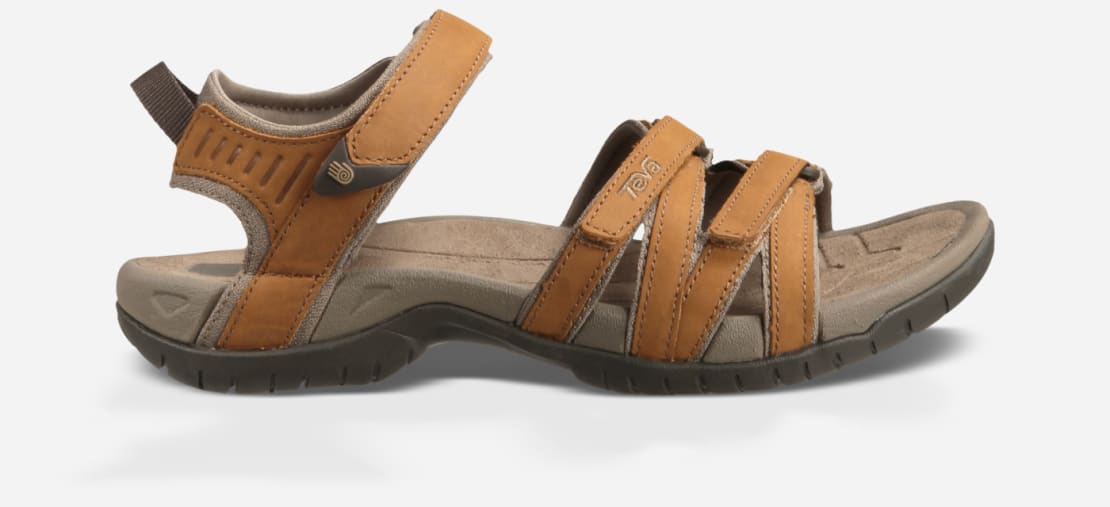 teva 4177