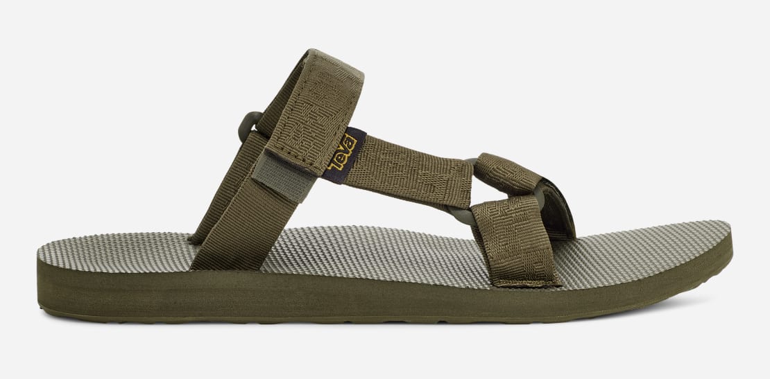 Teva slides 2025