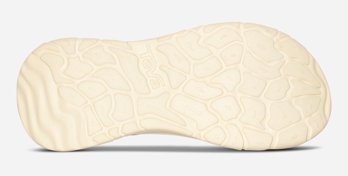 teva zymic sunflower