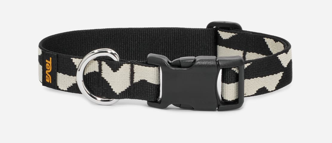 Teva 2025 dog collar