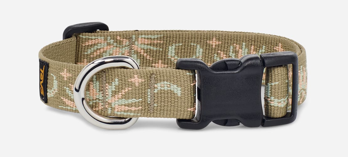 Teva 2025 dog collar