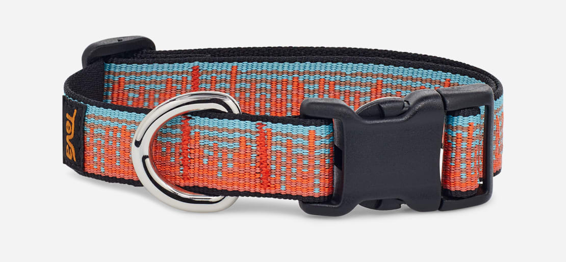 Orange and best sale blue dog collar
