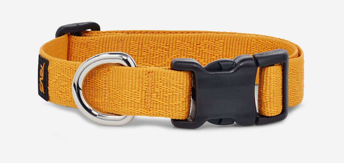 Teva 2025 dog collar