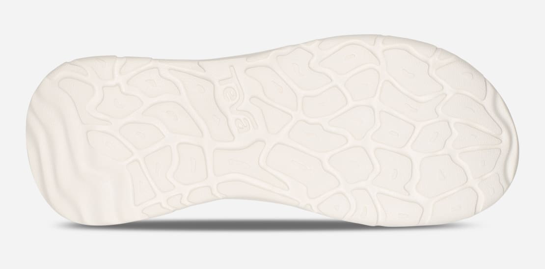 teva zymic sunflower