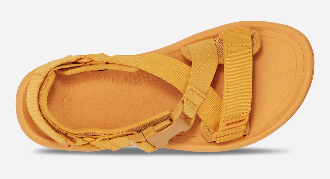 teva hurricane verge