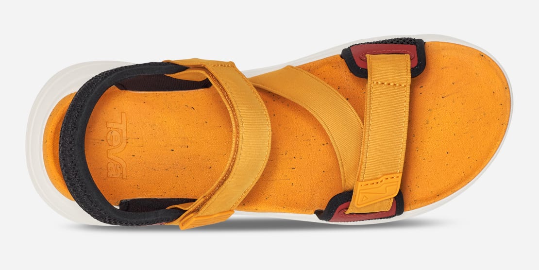 teva zymic sunflower