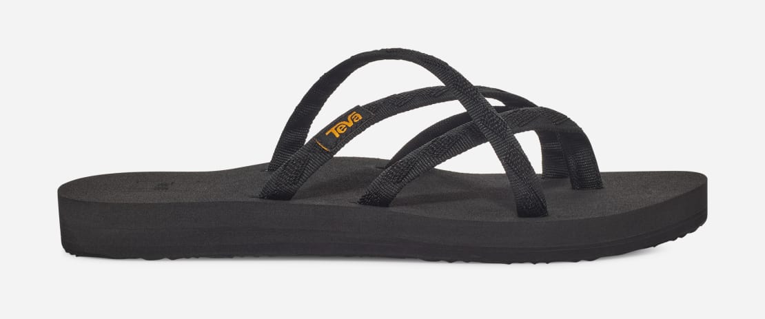 Teva olowahu deals 40