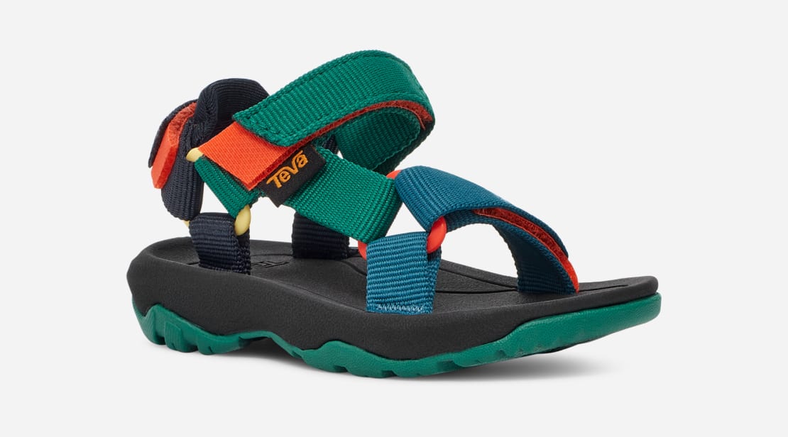 Teva 3 2025