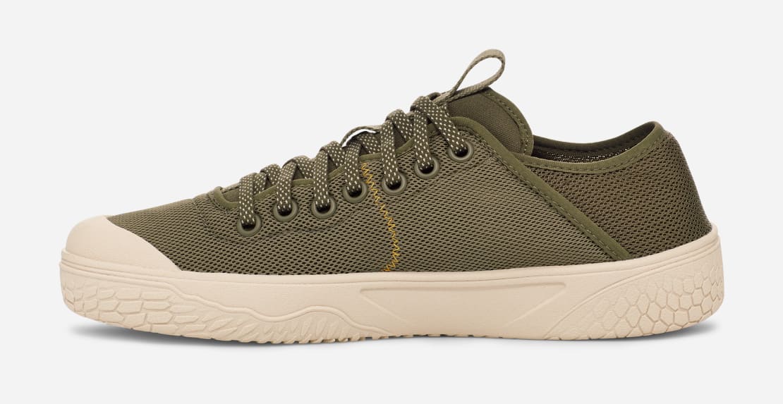 Terra Canyon Mesh