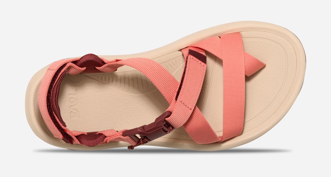 最適な価格 Terra Hurricane Dactyl Sandal Hiking 靴