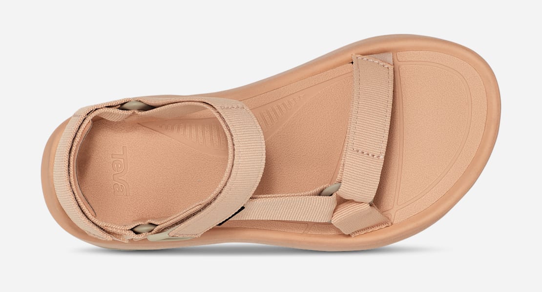 TEVA　ハリケーンXLT2 アンプソール　24cm テバ公式【 ハリケーン エックスエルティー2 アンプソール