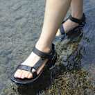 HURRICANE XLT2 AMPSOLE